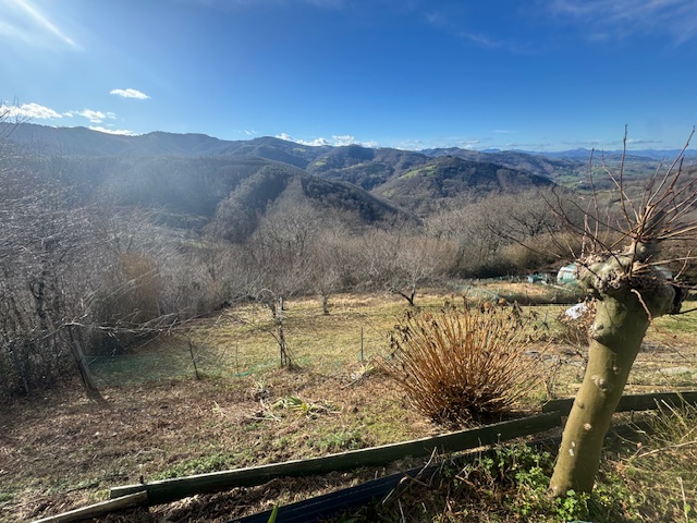 Borda con terreno de 9800m2 en Oyarzun!! vistas maravillosas!!Dispone de un pozo y placas solares.