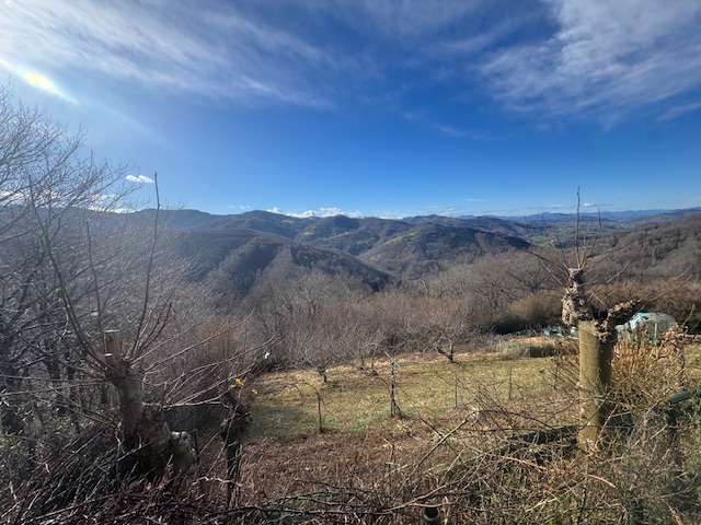 Borda con terreno de 9800m2 en Oyarzun!! vistas maravillosas!!Dispone de un pozo y placas solares.