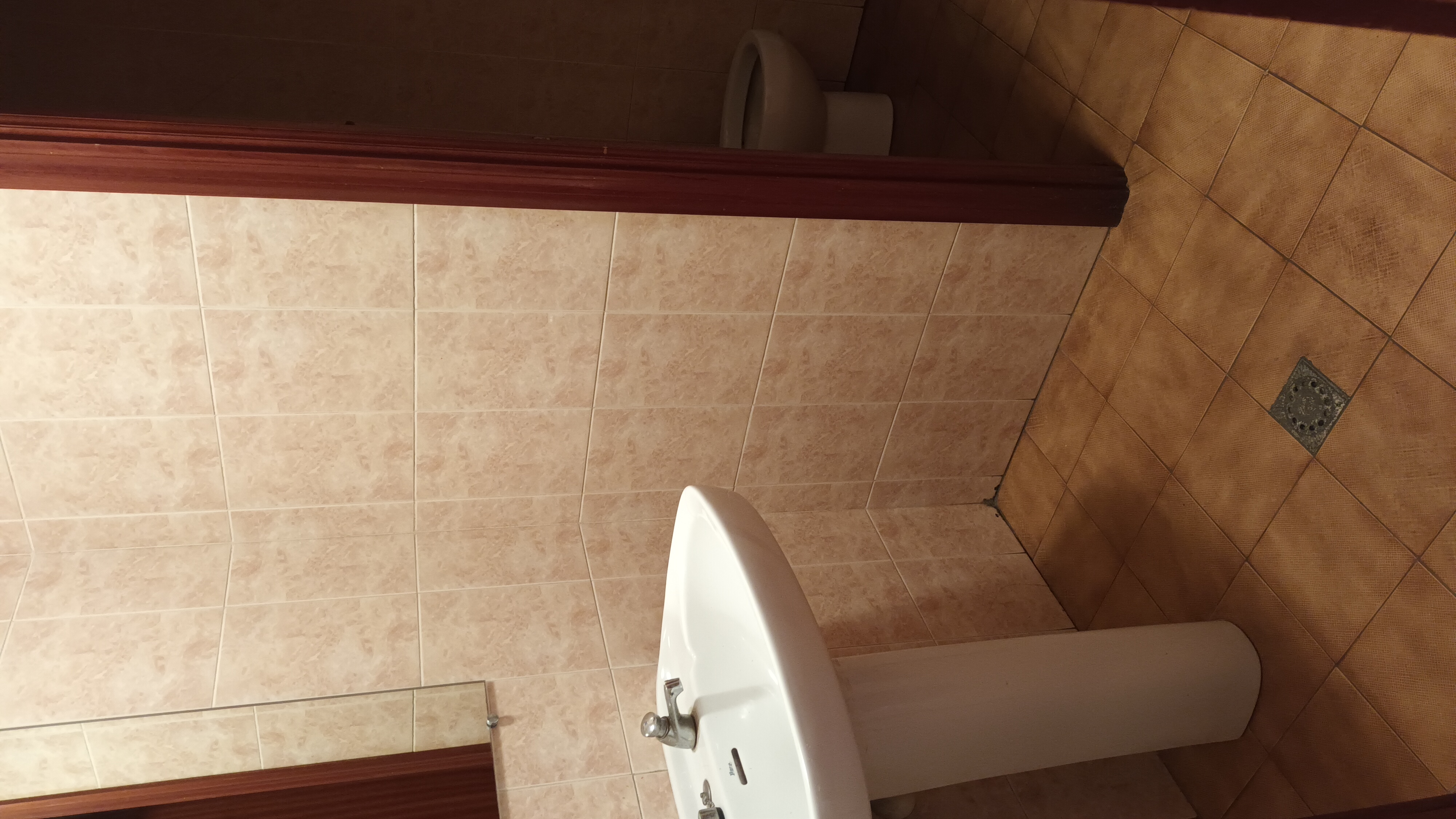 En las galerías comerciales 