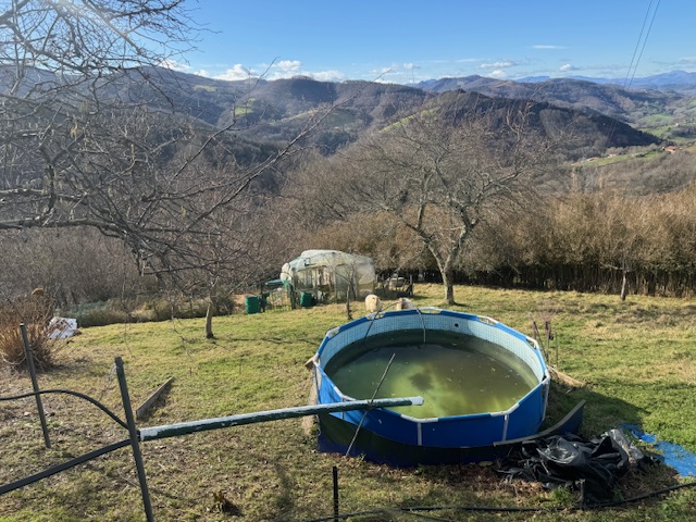 Borda con terreno de 9800m2 en Oyarzun!! vistas maravillosas!!Dispone de un pozo y placas solares.